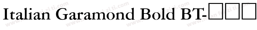 Italian Garamond Bold BT字体转换
